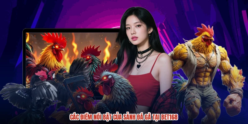 Các điểm nổi bật của sảnh đá gà tại BET168