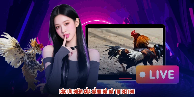 Các ưu điểm của sảnh đá gà tại BET168