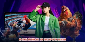 Đá Gà Cựa Sắt Hôm Nay: Xem Trực Tiếp Uy Tín Tại BET168