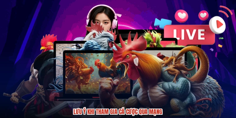 Lưu ý khi tham gia cá cược qua mạng
