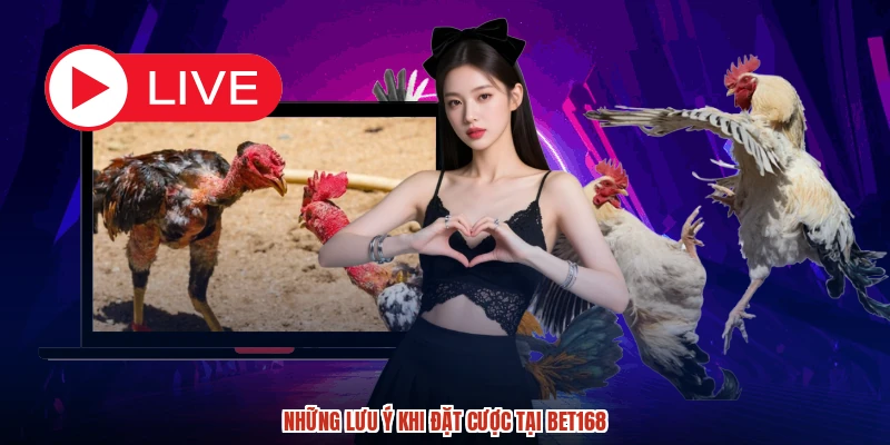 Những lưu ý khi đặt cược tại BET168