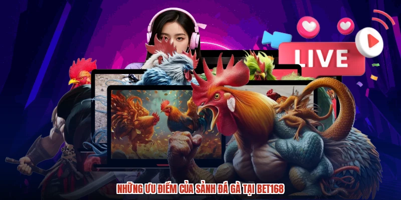 Những ưu điểm của sảnh đá gà tại BET168