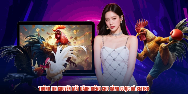 Thông tin khuyến mãi dành riêng cho sảnh cược gà BET168