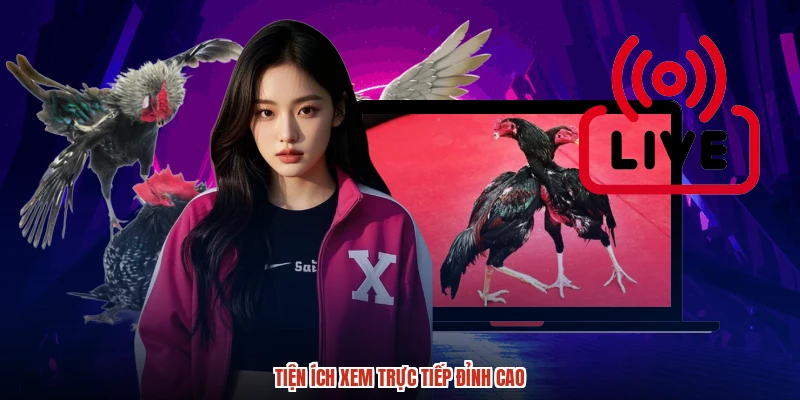 Tiện ích xem trực tiếp đỉnh cao