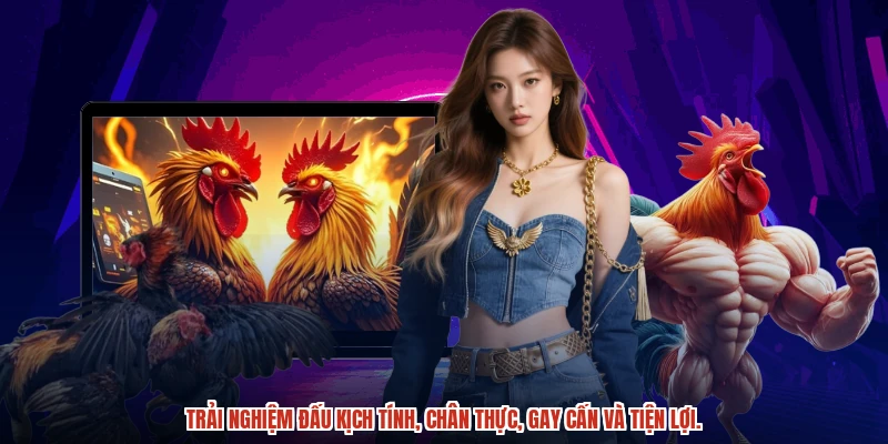 Trải nghiệm đỉnh cao, nhận định chuyên sâu từ các trận đấu.