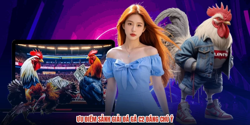 Ưu điểm sảnh giải đá gà C2 đáng chú ý