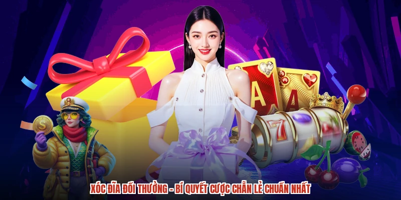 Chiến thuật đặt cược hiệu quả cho thành viên